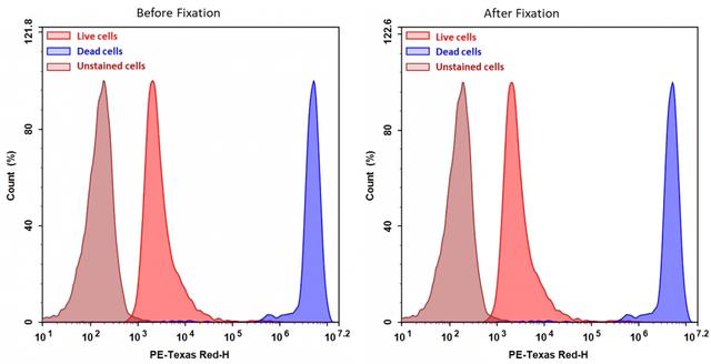 Detection of Jurkat cell viability by Cell Meter&trade; fixable viability dye. Jurkat cells were treated and stained with&nbsp;Cell Meter&trade; BX590 (Cat#22514), and then fixed in 3.7% formaldehyde and analyzed by flow cytometry. &nbsp;The dead cell population (Blue peak)&nbsp; is easily distinguished from the live cell population (Red peak)&nbsp; with PE-TexasRed channel, and nearly identical results were obtained before and after fixation.