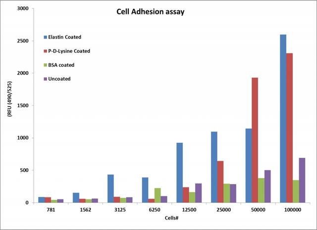 Cell adhesion measured with Cell Meter&trade; Cell Adhesion Assay Kit using a fluorescence microplate reader. Jurkat cells at different confluences or confluency levels were incubated in wells coated with different materials, and then stained with Calcein Ultragreen AM at 37&deg;C for 30 mins. The signal was monitored at Ex/Em = 490/525 nm.