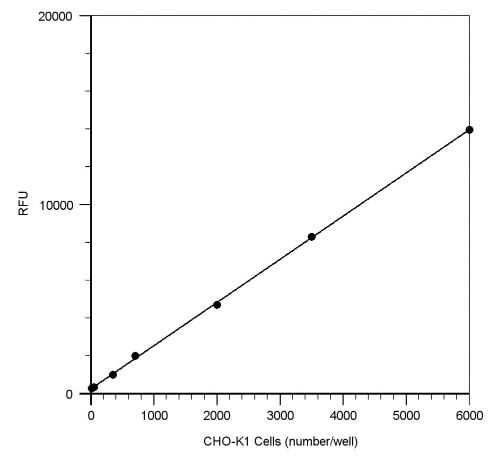 CHO-K1 cell number response was measured with Cell Meter™ Cell Viability Assay Kit. CHO-K1 cells at 0 to 5,000 cells/well/100 µL were seeded overnight in a Costar black wall/clear bottom 96-well plate. The cells were incubated with 100 µL/well of CytoCalcein Blue, AM dye-working solution for 1 hour at room temperature. The fluorescence intensity was measured at Ex/Em = 360/450 nm with NOVOstar instrument (from BMG Labtech). The fluorescence intensity was linear (R<sup>2</sup>=1) to the cell number as indicated.