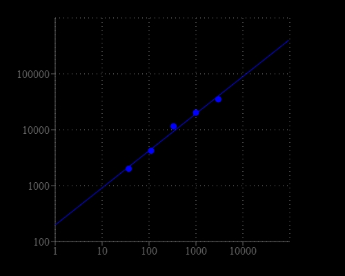 HeLa cell number response was measured with Cell Meter™ Cell Viability Assay Kit. HeLa cells at 0 to 3,000 cells/well/100 µL were seeded overnight in a Costar black wall/clear bottom 96-well plate. The cells were incubated with 100 µL/well of CytoCalcein™ Red dye-working solution for 30 minutes at 37°C. The fluorescence intensity was measured at Ex/Em = 540/590 nm (Cutoff = 570 nm) with bottom read mode using Flexstation (from Molecular devices).