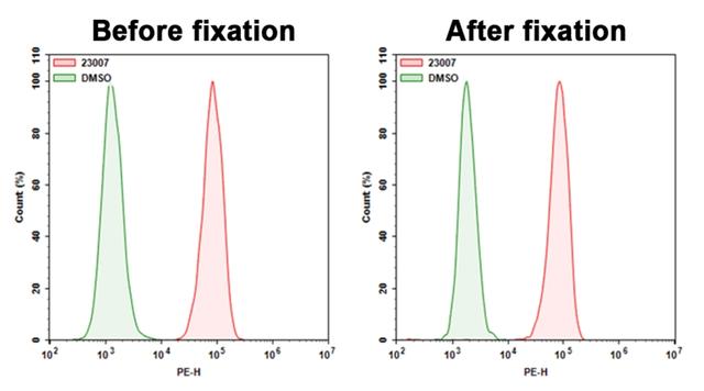 Fixability test with Cell Meter™ Cellular Senescence Activity Assay Kit using a NovoCyte Flow Cytometer (ACEA Biosciences). 9L-LacZ cells were incubated with DMSO or Xite™ Red beta-D-galactopyranoside for 45 mins at 37 °C. The signal before and after fixation was acquired using PE channel. (Cells were then fixed with 4% formaldehyde for 20 minutes at room temperature, and wash once.) 