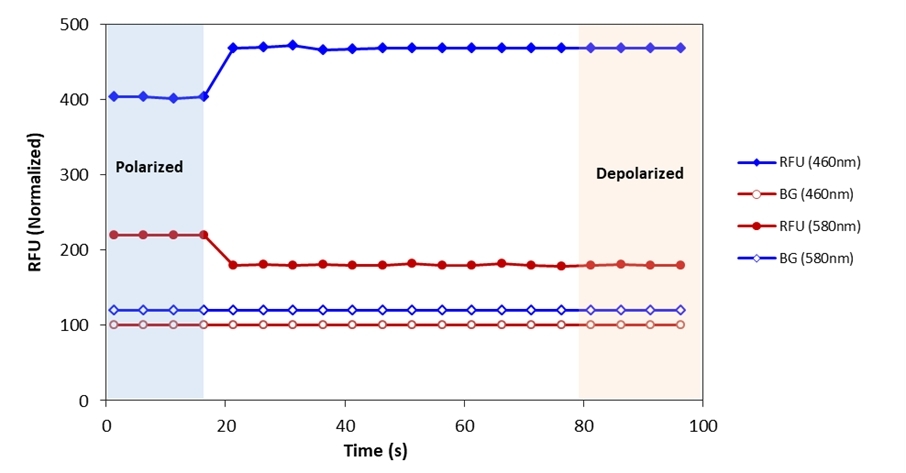 The monitoring of membrane potential in HeLa cells using Cell Meter™ Fluorimetric Cellular Voltage Assay kit. HeLa cells were stained according to the kit instructions, and stimulated with depolarizing solution (164.5 mM KCl, 2 mM CaCl<sub>2</sub>, 1 mM MgCl<sub>2</sub> , 10 mM glucose, 20 mM HEPES, pH 7.4). The response was recorded using FlexStation 3 (Molecular devices).