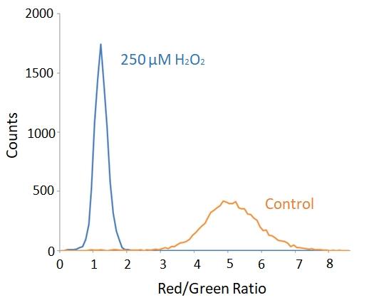 Jurkat cells were stained with 1X Lipoxite&trade; R590/G525 for 30 mins in complete growth medium at 37&deg;C. For H<sub>2</sub>O<sub>2</sub> treatment, approximately 250 &micro;M of H<sub>2</sub>O<sub>2</sub> were added to the cells and incubated for 30 mins. The cells were then incubated with 1X Lipoxite&trade; R590/G525, and analyzed with a flow cytometer through FITC (488/530 nm) and PE (488/572 nm) channels. The data are represented as the ratios of red (PE)/green (FITC) fluorescence intensities. The ratio of red/green decreases in H<sub>2</sub>O<sub>2</sub> treated cells indicating the presence of H<sub>2</sub>O<sub>2</sub> induced lipid peroxidation.