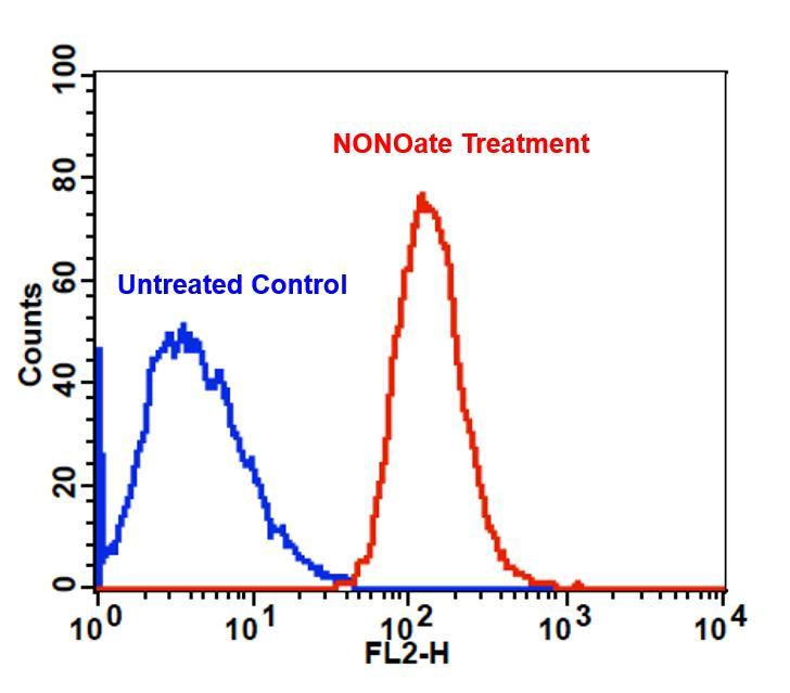 Detection of exogenous nitric oxide (NO) in Jurkat cells upon DEA NONOate treatment (NO donor) using Cell Meter&trade; Fluorimetric Intracellular Nitric Oxide Assay Kit (Cat#16351). Cells were incubated with Nitrixyte&trade; Orange at 37 &deg;C for 30 minutes. Cells were further treated with (Red line) or without (Blue line) 1 mM DEA NONOate in Assay Buffer (Component C) at 37 &deg;C for an additional 30 minutes. The fluorescence signal was monitored at FL2 channel using a flow cytometer (BD FACSCalibur).