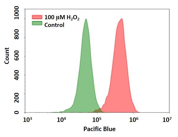 Detection of hydrogen peroxide in Jurkat cells using Cell Meter™ Intracellular Fluorimetric Hydrogen Peroxide Assay Kit (Cat#: 11505). Jurkat cells were stained with OxiVision™ Blue peroxide sensor for 30 minutes and treated with 100 µM hydrogen peroxide at 37 °C for 90 minutes. Cells stained with OxiVision™ Blue peroxide sensor but without hydrogen peroxide treatment were used as control.