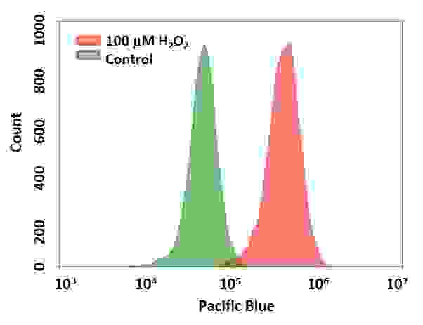 Detection of hydrogen peroxide in Jurkat cells using Cell Meter™ Intracellular Fluorimetric Hydrogen Peroxide Assay Kit (Cat#: 11505). Jurkat cells were stained with OxiVision™ Blue peroxide sensor for 30 minutes and treated with 100 µM hydrogen peroxide at 37 °C for 90 minutes. Cells stained with OxiVision™ Blue peroxide sensor but without hydrogen peroxide treatment were used as control.