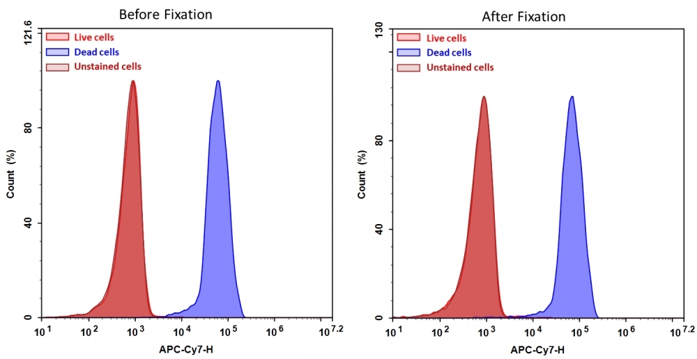 Detection of Jurkat cell viability by Cell Meter™ fixable viability dye. Jurkat cells were treated and stained with Cell Meter™ IX830 (Cat#22529), and then fixed in 3.7% formaldehyde and analyzed by flow cytometry. The dead cell population (Blue peak) is easily distinguished from the live cell population (Red peak) with APC-Cy7 channel, and nearly identical results were obtained before and after fixation.
