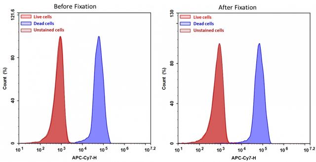 Detection of Jurkat cell viability by Cell Meter™ fixable viability dye. Jurkat cells were treated and stained with Cell Meter™ IX830 (Cat#22529), and then fixed in 3.7% formaldehyde and analyzed by flow cytometry.  The dead cell population (Blue peak)  is easily distinguished from the live cell population (Red peak)  with APC-Cy7 channel, and nearly identical results were obtained before and after fixation.