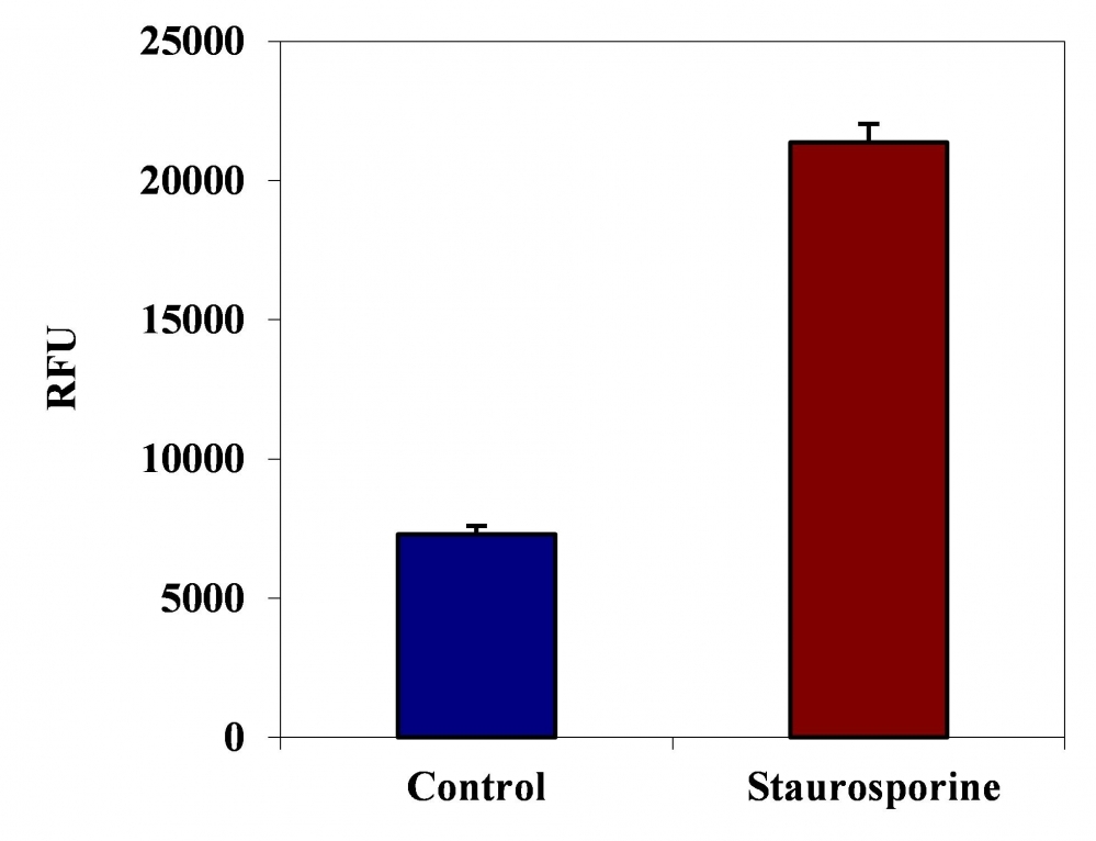 <p>FAM-LEED-FMK fluorometric detection of active caspase 13 using Kit # 20125 in Jurkat cells. The cells were treated with 1 μM staurosporine for 3 hours (Red) while untreated cells were used as a control (Blue). Cells were incubated with FAM-LEED-FMK for 1 hour at 37°C. The fluorescent intensity (300, 000 cells/100 μL/well) was measured at Ex/Em = 490/525 nm (cut off at 515 nm) with a FlexStation microplate reader using bottom read mode.</p>