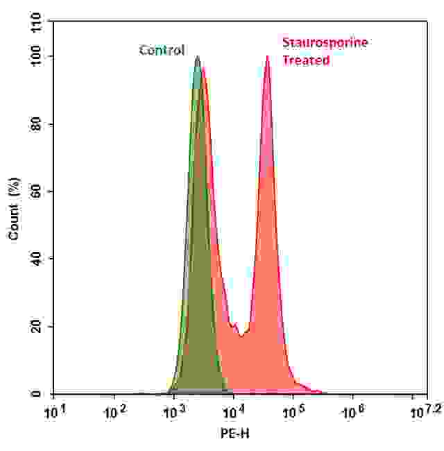Fluorometric detection of active caspases 3/7 using TF3-DEVD-FMK (Cat# 20101) in Jurkat cells. The cells were treated with 1 μM staurosporine for 4 hours (Red) while untreated cells were used as a control (Green). Control and treated cells were incubated with TF3-DEVD-FMK for 1 hour at 37 °C, and then washed once after stain.  Fluorescent intensity was measured with NovoCyte™ 3000 flow cytometer blue laser excitation/PE emission channel.