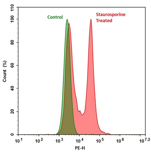 Fluorometric detection of active caspases 3/7 using TF3-DEVD-FMK (Cat# 20101) in Jurkat cells. The cells were treated with 1 &mu;M staurosporine for 4 hours (Red) while untreated cells were used as a control (Green). Control and treated cells were incubated with TF3-DEVD-FMK for 1 hour at 37 &deg;C, and then washed once after stain.&nbsp; Fluorescent intensity was measured with NovoCyte&trade; 3000 flow cytometer blue laser excitation/PE emission channel.