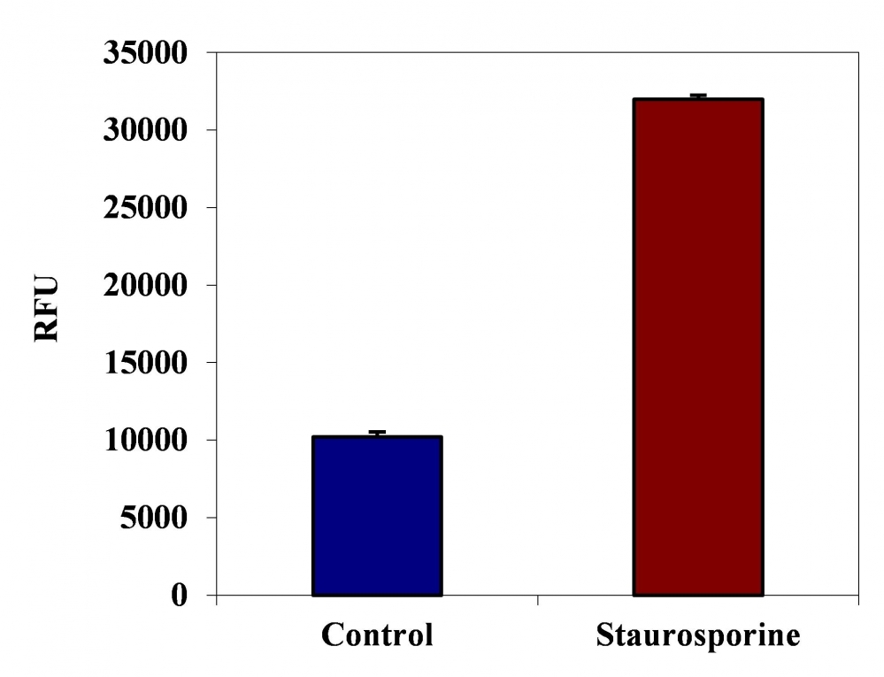 <p>FAM-VEID-FMK fluorometric detection of active Caspase 6 using Kit # 20113 in Jurkat cells. The cells were treated with 1 μM staurosporine for 3 hours (Red) while untreated cells were used as a control (Blue). Cells were incubated with FAM-VEID-FMK for 1 hour at 37°C. The fluorescent intensity (300, 000 cells/100 μL/well) was measured at Ex/Em = 490/525 nm (cut off at 515 nm) with a FlexStation microplate reader using bottom read mode.</p>