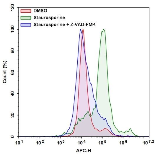 Flow cytometric analysis of active caspase 8 using Cell Meter™ Live Cells Caspase 8 detection kit in Jurkat cells. The cells were treated with 1 μM staurosporine for 5 hours (Green) while untreated cells were used as a control (Red). The staurosporine response was inhibited by Z-VAD-FMK (caspase inhibitor) shown as blue. Cells were incubated with iFluor 647-LETD-FMK for 1 hour at RT. The fluorescent intensity was measured using NovoCyte flow cytometer with 660/20 nm filter (APC channel).