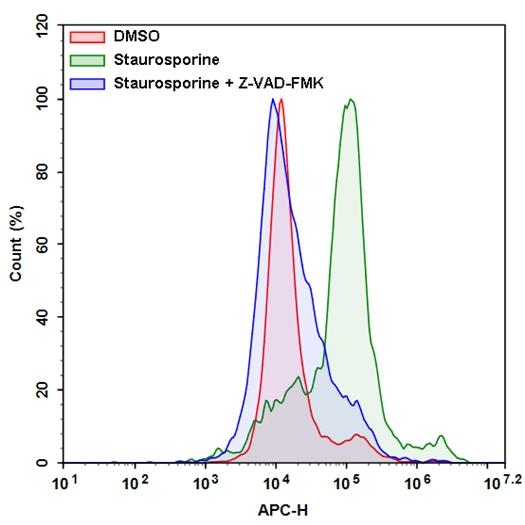 Flow cytometric analysis of active caspase 8 using Cell Meter&trade; Live Cells Caspase 8 detection kit in Jurkat cells. The cells were treated with 1 &mu;M staurosporine for 5 hours (Green) while untreated cells were used as a control (Red). The staurosporine response was inhibited by Z-VAD-FMK (caspase inhibitor) shown as blue. Cells were incubated with iFluor 647-LETD-FMK for 1 hour at RT. The fluorescent intensity was measured using NovoCyte flow cytometer with 660/20 nm filter (APC channel).