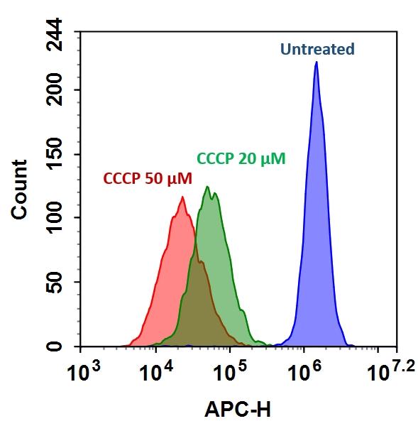 The decrease in fluorescence intensity of MitoTell™ Red in response to CCCP treatment in Jurkat cells. Jurkat cells were loaded with MitoTell™ Red alone (Blue) or in the presence of 20 μM (Green) or 50 μM CCCP (Red) for 30 minutes. The fluorescence intensity of MitoTell™ Red was measured using ACEA NovoCyte flow cytometer at APC channel.