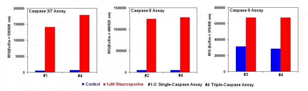 Detection of caspase 3, 7, 8 and 9 activities