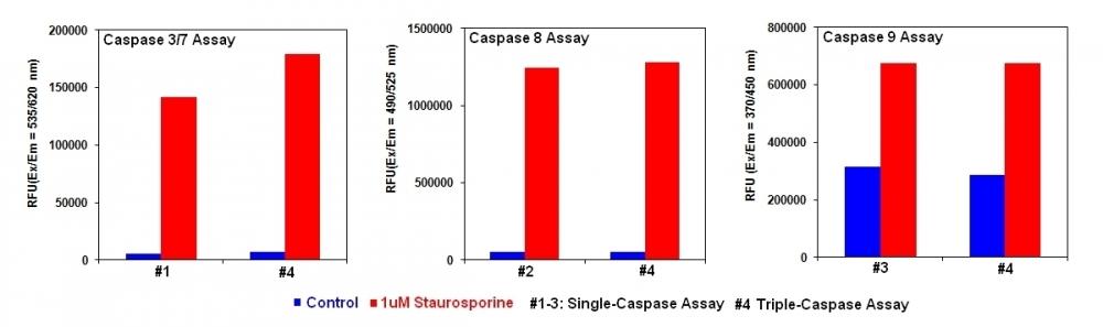 Detection of Caspase Activities in Jurkat cells. Jurkat cells were seeded on the same day at 200,000 cells/well in a Costar black wall/clear bottom 96-well plate. The cells were treated with staurosporine at the final concentration of 1 mM for 4 hours (Red Bar) while the untreated cells were used as control (Blue Bar). The single-caspase assay loading solution (100 uL/well) was added (in #1 for caspase 3/7, #2 for caspase 8 or #3 for caspase 9) or Triple-caspase assay loading solution (#4 for caspase 3/7, 8 and 9 together) was added, and incubated at room temperature for 1 hour. The fluorescence intensity was measured with FlexStation fluorescence microplate reader at the indicated wavelength. The caspase 3/7, 8 and 9 activities can be detected in a single assay without interferences from other caspases.