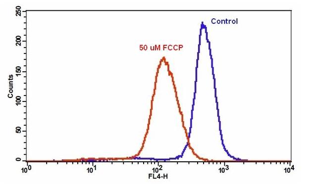The decrease in fluorescence intensity of MitoLite&trade; NIR with the addition of FCCP in Jurkat cells. Jurkat cells were loaded with MitoLite&trade; NIR alone (blue line) or in the presence of 50 &micro;M FCCP (red line) for 10 minutes. The fluorescence intensity of MitoLite&trade; NIR was measured with a FACSCalibur (Becton Dickinson) flow cytometer using FL4 channel.