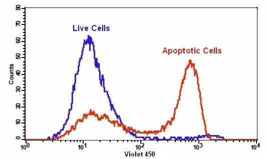 The detection of phosphatidylserine binding activity in Jurkat cells with Cell Meter™ Phosphatidylserine Apoptosis Assay Kit. Jurkat cells were treated without (Blue) or with 1 µM staurosporine (Red) in a 37 °C, 5% CO2 incubator for 5 hours, and then dye loaded with Apopxin™ Violet 450 for 30 minutes. The fluorescence intensity of Apopxin™ Violet 450 was measured with a FACSCalibur (Becton Dickinson) flow cytometer using violet laser.