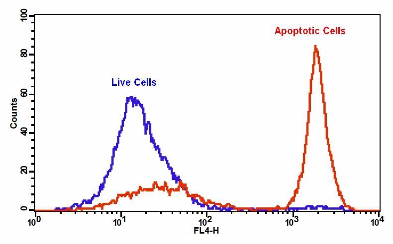 Detection of phosphatidylserine binding activity in Jurkat cells. Jurkat cells were treated without (Blue) or with 20 &micro;M camptothecin (Red) in a 37 &deg;C, 5% CO2 incubator for 4-5 hours, and then loaded with Apopxin&trade; Deep Red for 30 minutes. The fluorescence intensity of Apopxin&trade; Deep Red was measured with a FACSCalibur (Becton Dikinson) flow cytometer in FL4 channel.