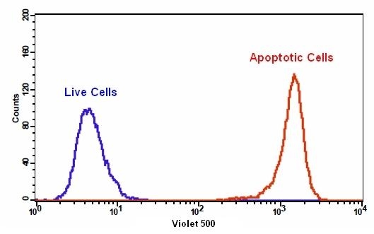 The detection of phosphatidylserine binding activity in Jurkat cells. Jurkat cells were treated without (Blue) or with 1 µM staurosporine (Red) in a 37 °C, 5% CO2 incubator for 5 hours, and then dye loaded with Apopxin™ Violet 500 for 30 minutes. The fluorescence intensity of Apopxin™ Violet 500 was measured with a FACSCalibur (Becton Dickinson) flow cytometer using violet laser.