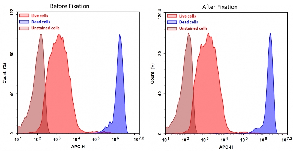 Detection of Jurkat cell viability by Cell Meter™ fixable viability dye. Jurkat cells were treated and stained with Cell Meter™ RX660 (Cat#22530), and then fixed in 3.7% formaldehyde and analyzed by flow cytometry. The dead cell population (Blue peak) is easily distinguished from the live cell population (Red peak) with APC channel, and nearly identical results were obtained before and after fixation.