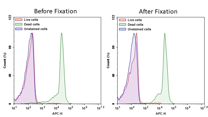 Detection of Jurkat cell viability by Cell Meter™ fixable viability dye. Jurkat cells were treated and stained with Cell Meter™ RX700 (Cat#22532), and then fixed in 3.7% formaldehyde and analyzed by flow cytometry. The dead cell population (Green peak) is easily distinguished from the live cell population (Red peak) with APC channel, and nearly identical results were obtained before and after fixation.