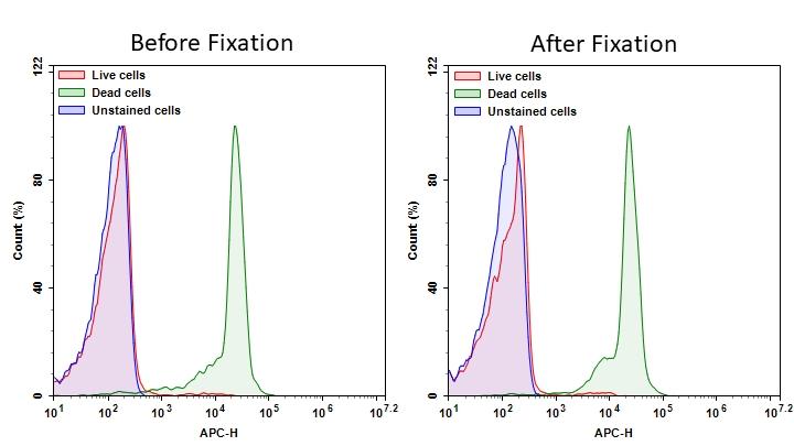 Detection of Jurkat cell viability by Cell Meter™ fixable viability dye. Jurkat cells were treated and stained with Cell Meter™ RX700 (Cat#22532), and then fixed in 3.7% formaldehyde and analyzed by flow cytometry.  The dead cell population (Green peak)  is easily distinguished from the live cell population (Red peak)  with APC channel, and nearly identical results were obtained before and after fixation.