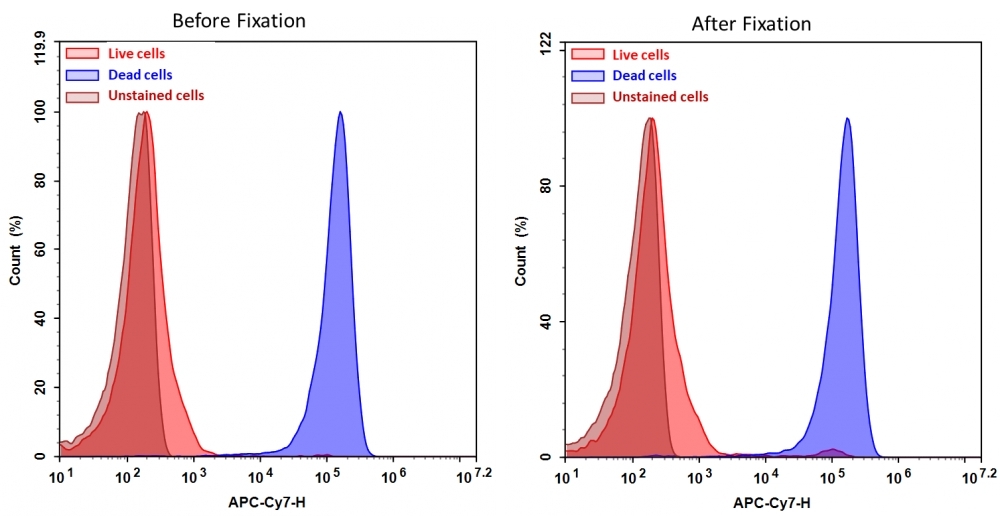 Detection of Jurkat cell viability by Cell Meter™ fixable viability dye. Jurkat cells were treated and stained with Cell Meter™ RX780 (Cat#22536), and then fixed in 3.7% formaldehyde and analyzed by flow cytometry.  The dead cell population (Blue peak)  is easily distinguished from the live cell population (Red peak)  with APC-Cy7 channel, and nearly identical results were obtained before and after fixation