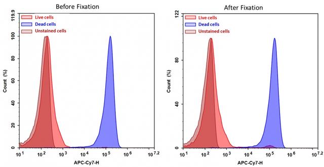 Detection of Jurkat cell viability by Cell Meter&trade; fixable viability dye. Jurkat cells were treated and stained with&nbsp;Cell Meter&trade; RX780 (Cat#22536), and then fixed in 3.7% formaldehyde and analyzed by flow cytometry. &nbsp;The dead cell population (Blue peak)&nbsp; is easily distinguished from the live cell population (Red peak)&nbsp; with APC-Cy7 channel, and nearly identical results were obtained before and after fixation