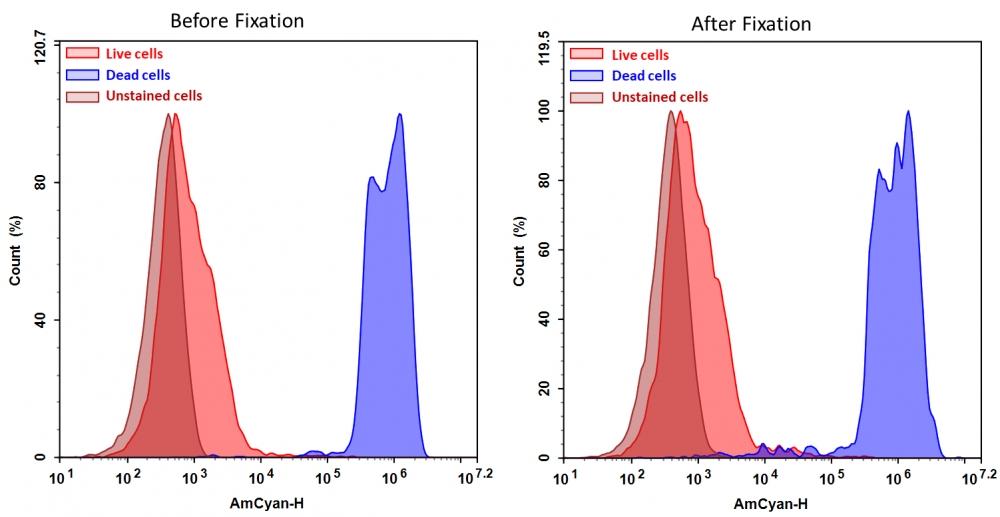 Detection of Jurkat cell viability by Cell Meter™ fixable viability dye. Jurkat cells were treated and stained with Cell Meter™ VX450 (Cat#22540), and then fixed in 3.7% formaldehyde and analyzed by flow cytometry.  The dead cell population (Blue peak)  is easily distinguished from the live cell population (Red peak)  with AmCyan channel, and nearly identical results were obtained before and after fixation.
