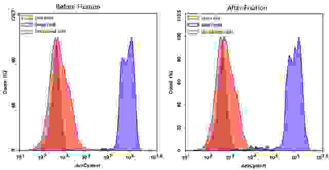 Detection of Jurkat cell viability by Cell Meter™ fixable viability dye. Jurkat cells were treated and stained with Cell Meter™ VX450 (Cat#22540), and then fixed in 3.7% formaldehyde and analyzed by flow cytometry.  The dead cell population (Blue peak)  is easily distinguished from the live cell population (Red peak)  with AmCyan channel, and nearly identical results were obtained before and after fixation.