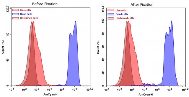 Detection of Jurkat cell viability by Cell Meter&trade; fixable viability dye. Jurkat cells were treated and stained with&nbsp;Cell Meter&trade; VX450 (Cat#22540), and then fixed in 3.7% formaldehyde and analyzed by flow cytometry. &nbsp;The dead cell population (Blue peak)&nbsp; is easily distinguished from the live cell population (Red peak)&nbsp; with AmCyan channel, and nearly identical results were obtained before and after fixation.