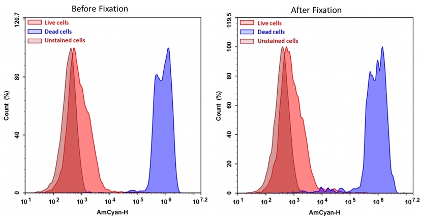 Detection of Jurkat cell viability by Cell Meter™ fixable viability dye