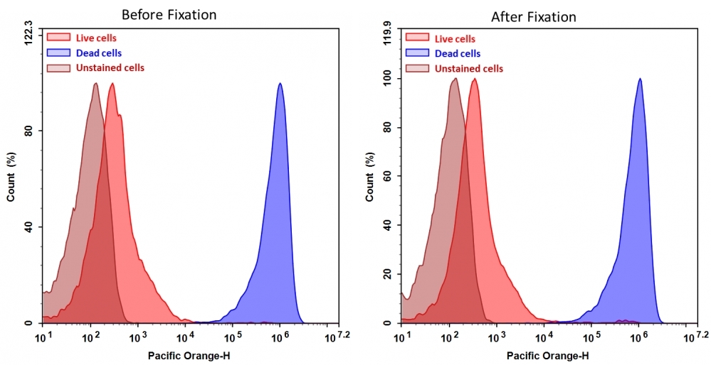 Detection of Jurkat cell viability by Cell Meter™ fixable viability dye. Jurkat cells were treated and stained with Cell Meter™ VX500 (Cat#22542), and then fixed in 3.7% formaldehyde and analyzed by flow cytometry. The dead cell population (Blue peak) is easily distinguished from the live cell population (Red peak) with Pacific Orange channel, and nearly identical results were obtained before and after fixation.