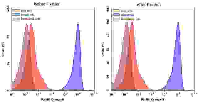 Detection of Jurkat cell viability by Cell Meter™ fixable viability dye. Jurkat cells were treated and stained with Cell Meter™ VX500 (Cat#22542), and then fixed in 3.7% formaldehyde and analyzed by flow cytometry.  The dead cell population (Blue peak)  is easily distinguished from the live cell population (Red peak)  with Pacific Orange channel, and nearly identical results were obtained before and after fixation.