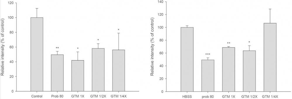 Effects of GTM (1, 1/2 and 1/4 -fold serum concentrations) and probenecid (Prob, 80 μM) on the intracellular accumulation of 6-CF in CHO-hOAT1 cells (left) and 5-CF in HEK293-hOAT3 cells.(right). The effects of GTM on the uptake activity of hOAT1 and hOAT3 are shown in Fig. 6. GTM at 1/4−, 1/2− and 1-fold serum concentrations significantly reduced the intracellular accumulation of 6-CF, an OAT1 substrate, by 43.9, 41.9 and 58.1%, respectively, when compared with blank serum specimen at corresponding concentrations. Likewise, GTM at 1/2− and 1-fold serum concentration significantly reduced the intracellular accumulation of 5-CF, an OAT3 substrate, by 36.4% and 31.3%, respectively, when compared to blank serum specimen at corresponding concentration. As positive control inhibitors of hOAT1 and hOAT3, probenecid (80 μM) significantly reduced the intracellular accumulation of 6-CF and 5-CF by 50.4 and 50.7%, respectively. These <em>in vitro</em> studies indicated that GTM significantly inhibited the uptake transport mediated by hOAT1 and hOAT3. *P < 0.05, **P < 0.01 and ***P < 0.001. Source: <strong>Green tea inhibited the elimination of nephro-cardiovascular toxins and deteriorated the renal function in rats with renal failure </strong>by Peng et al.,<em> Scientific Reports</em>, Nov. 2015.