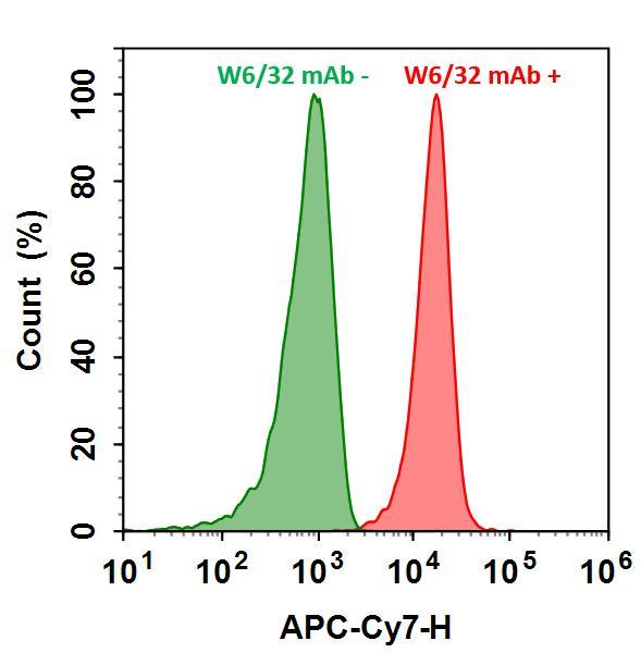 HL-60 cells were incubated with (Red, +) or without (Green, -) Anti-human HLA-ABC (W6/32 mAb), followed by Cy7&reg; goat anti-mouse IgG conjugate. The fluorescence signal was monitored using ACEA NovoCyte flow cytometer in APC-Cy7 channel.