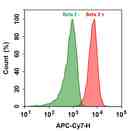 HL-60 cells were incubated with (Red, +) or without (Green, -) Anti-beta 2 rabbit antibody (Beta 2), followed by Cy7&reg; goat anti-rabbit IgG conjugate. The fluorescence signal was monitored using ACEA NovoCyte flow cytometer in APC-Cy7 channel.