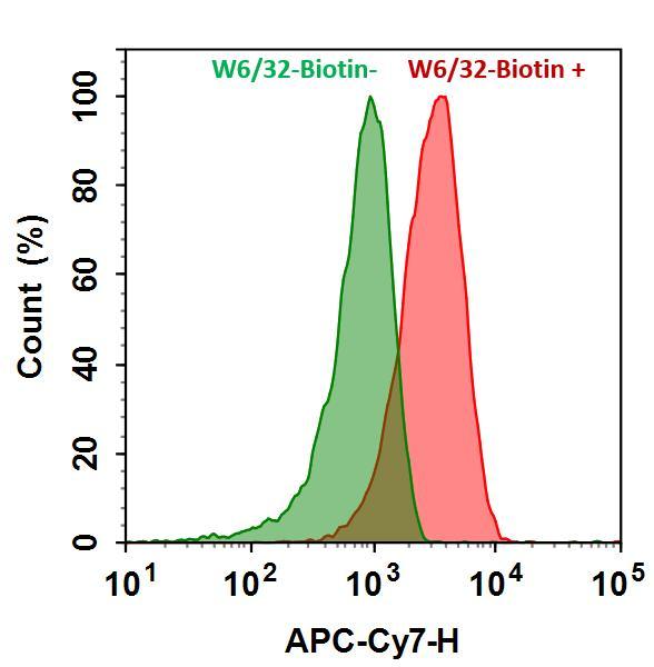 HL-60 cells were incubated with (Red, +) or without (Green, -) mouse Anti-Human HLA-ABC Biotin (W6/32-Biotin) followed by Cy7&reg;-streptavidin conjugate. The fluorescence signal was monitored using ACEA NovoCyte flow cytometer in APC-C7 channel.