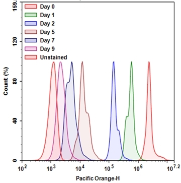 Cell proliferation assay with CytoTell™ Violet 500. Jurkat cells (~2×10<sup>6</sup> cells/mL) were stained with CytoTell™ Violet 500 on Day 0. The cells were passed serially at 1:1 ratio on the day specified. Fluorescence intensity was measured with ACEA NovoCyte 3000 flow cytometer with Pacific Orange channel. Successive generations were represented by different colors.