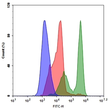 Fluorometric detection of active caspases 3/7 using FITC-C6-D(OMe)E(OMe)VD(OMe)-FMK (Cat# 13418) in Jurkat cells. The cells were treated with 1 μM staurosporine for 4 hours (Green) while untreated cells were used as a control (Red). Control or treated Cells were incubated with FITC-C6-D(OMe)E(OMe)VD(OMe)-FMK for 1 hour at 37 °C, and then washed once after stain.  Fluorescent intensity was measured with NovoCyte™ 3000 Flow Cytometer FITC channel.