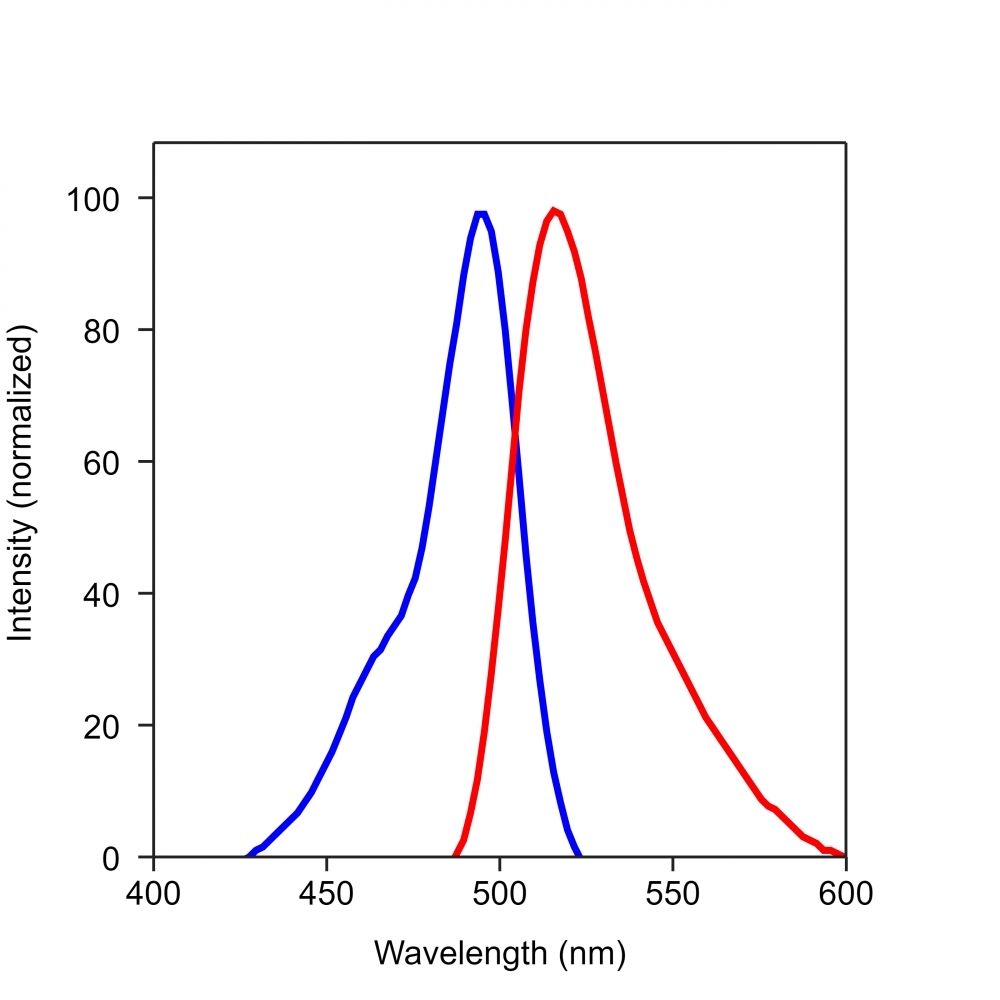 <p>Spectrum for Fluo-8L</p>