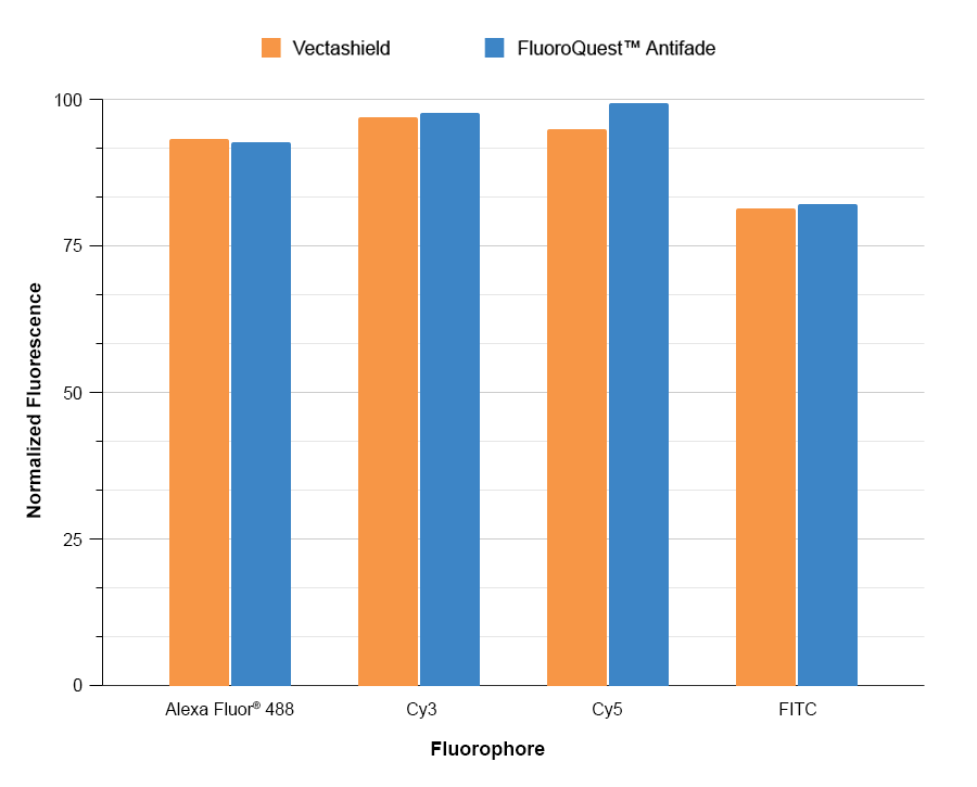 Antifade properties were measured using cells stained with fluorescently labeled secondary antibodies, as listed in the graph. The antifade capability of the VectaShield and FluoroQuest™ Antifade mounting mediums was measured using a 20X objective with real-time imaging over 10 seconds of continuous exposure to the excitation illumination. The intensity after 10 seconds of exposure is expressed as 100% percent of the intensity at zero time. The data shown above in the graph represents the % fluorescence remaining after 3 minutes of continuous exposure.