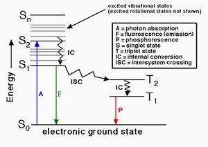 Principle of fluorescence. Electrons are excited to a higher energy level by external source. Upon return to their ground state, a set quanta of photons are release proportional to the energy loss by electrons. This release of photons represents the fluorescence emission.The fluorophore's quantum yield is the ratio of its emitted photons to the photons it absorbed.