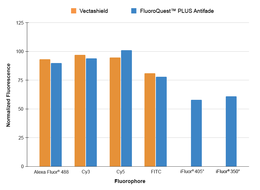 Antifade properties were measured using cells stained with fluorescently labeled secondary antibodies, as listed in the graph. The antifade capability of the VectaShield and FluoroQuest™ PLUS Antifade mounting mediums was measured using a 20X objective with real-time imaging over 10 sec of continuous exposure to the excitation illumination. The intensity after 10 seconds of exposure is expressed as 100% percent of the intensity at zero time. The data shown above in the graph represents the % fluorescence remaining after 3 minutes of continuous exposure.