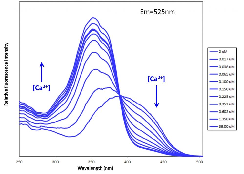 &nbsp;Fluorescence excitation spectra of Fura-10&trade; in the presence of 0 to 39 &micro;M free Ca2+.