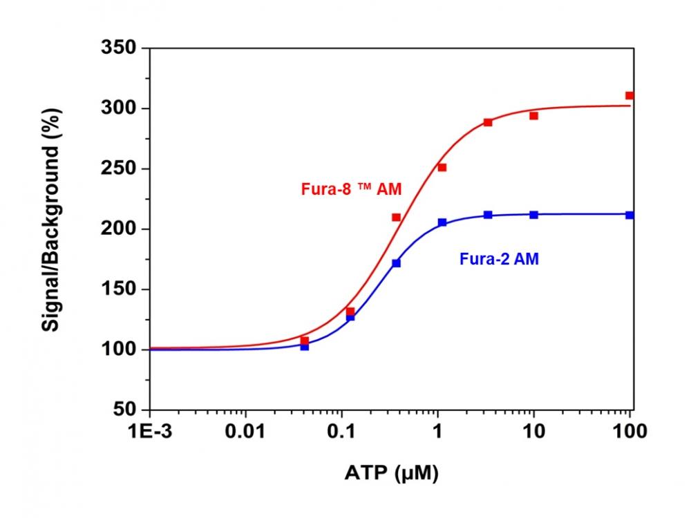 ATP Dose response in CHO-K1 cells measured with Fura-2 AM and Fura-8&trade; AM respectively. CHO-K1 cells were seeded overnight at 40,000 cells/100 &micro;L/well in a black wall/clear bottom 96-well plate. The cells incubated with Fura-2 AM or Fura-8 AM calcium assay&nbsp; dye-loading solution respectively for 1 hour. ATP Dose was added by Flexstation.