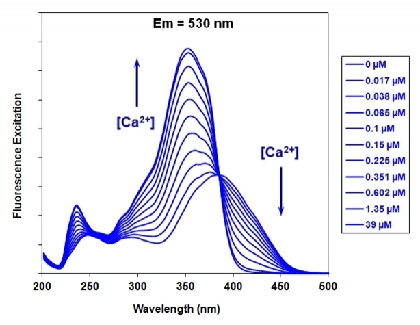 Fluorescence excitation spectra of Fura-8™ in the presence of 0 to 39 µM free Ca2+.