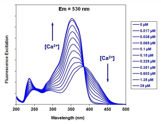 Fluorescence excitation spectra of Fura-8&trade; in the presence of 0 to 39 &micro;M free Ca2+.